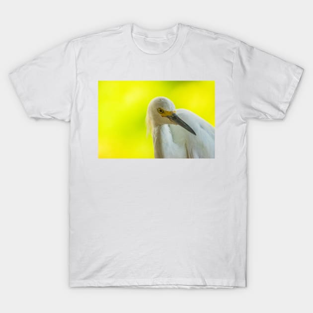 Handsome snowy egret T-Shirt by KensLensDesigns